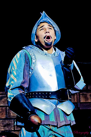Man of La Mancha