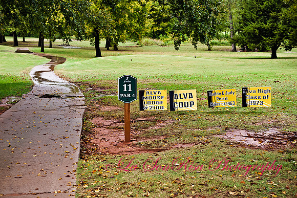 Alva Goldbug Education Foundation Golf Tournament