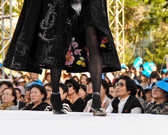 Andre Kim Fashion Art Collection