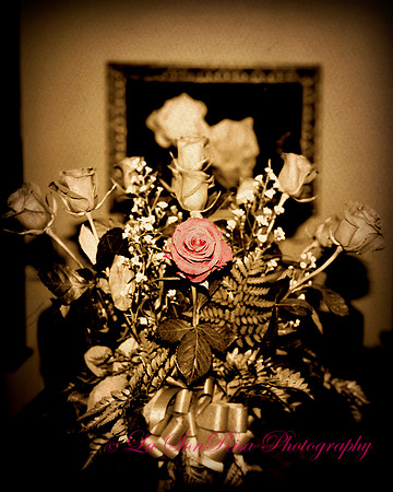 January Roses