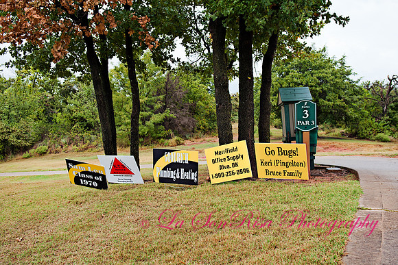 Alva Goldbug Education Foundation Golf Tournament